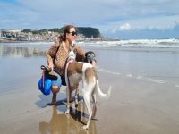 elaine dogs